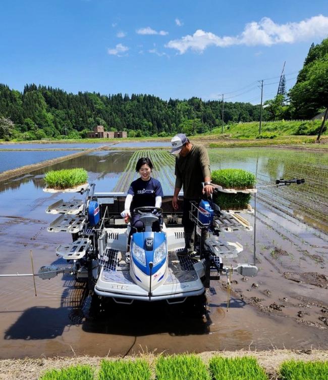 町長田植え