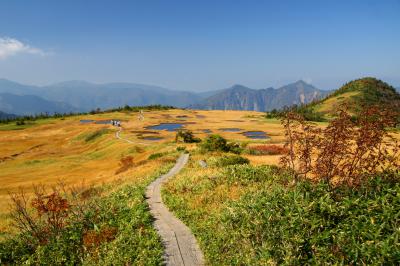 苗場山9合目付近の写真です。