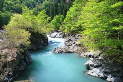 春の中津川渓谷の写真です。